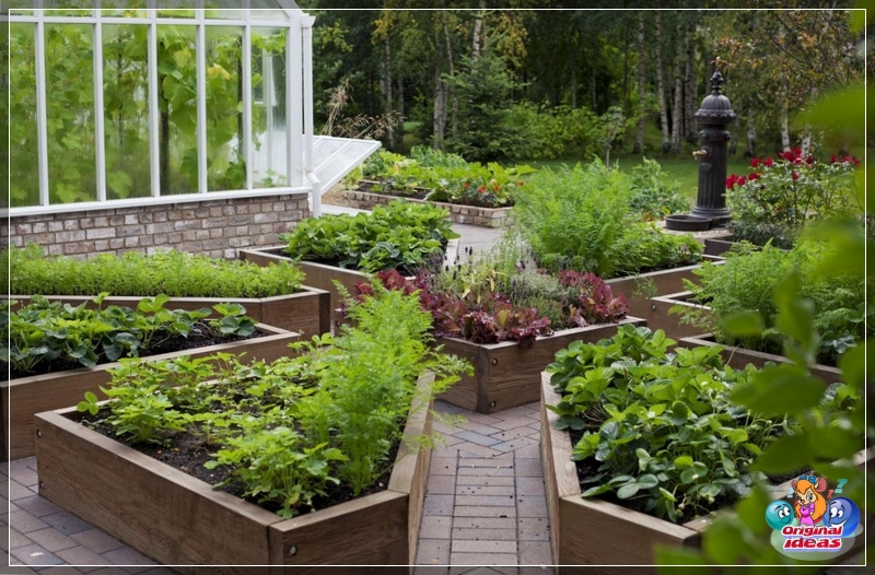 Camas altas en diseño de paisaje