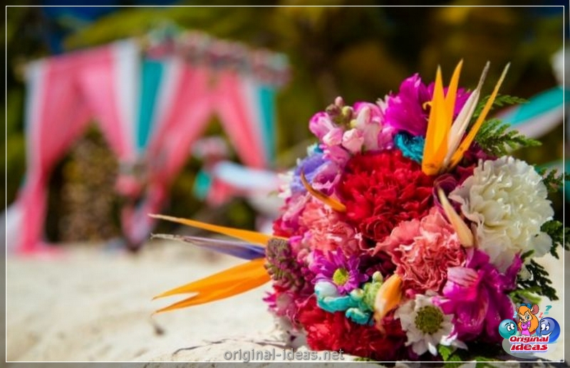 Arredamento del matrimonio: 80 foto delle migliori combinazioni e gioielli da sposa (delle) Arredamento del matrimonio: 80 foto delle migliori combinazioni e gioielli da sposa