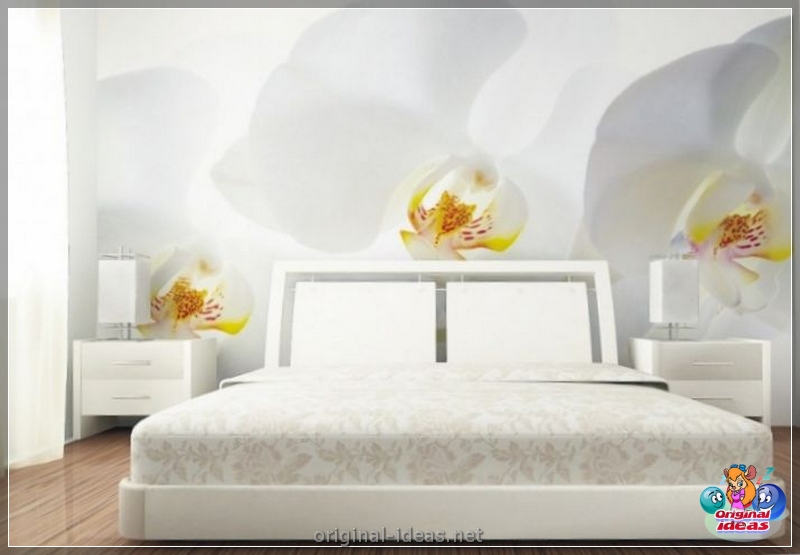 Décor de chambre: 105 photos d'exemples de décoration intérieure des chambres modernes (décoration) Décor de chambre: 105 photos d'exemples de décoration intérieure des chambres modernes