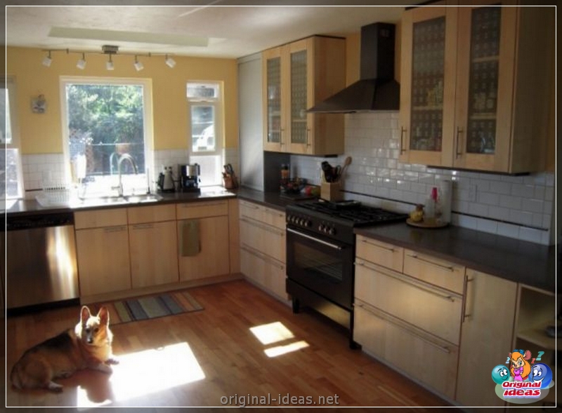 Cucine Ikea: 120 foto delle migliori opzioni, scelta di cucina e idee di design moderne (cucine) Cucine Ikea: 120 foto delle migliori opzioni, scelta di cucina e idee di design moderne