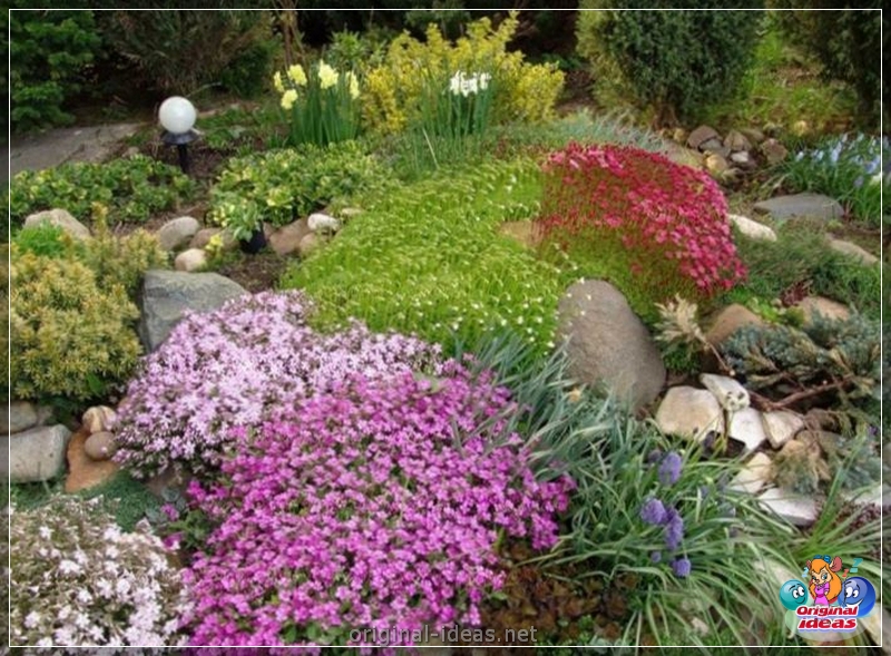 Do -it -it -Yourself Landscape Design: 115 фотаздымкаў і відэа самых стыльных рашэнняў і камбінацый 2023 года (yourself) Do -it -it -Yourself Landscape Design: 115 фотаздымкаў і відэа самых стыльных рашэнняў і камбінацый 2023 года