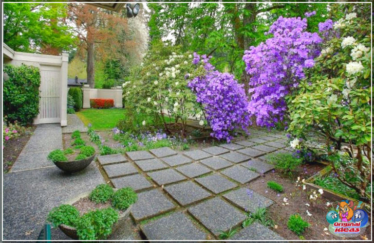 Idee di passerelle con un budget (disegni da giardino e cortile) (naturale, legno, pareti, colori, passerella, idee, budget, giardino, cortile) Idee per passerelle con un budget limitato (progetti di giardini e cortili)
