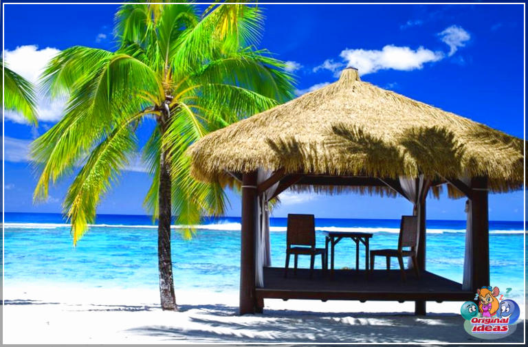 49 Gazebo Designs (Picture Gallery) (soffitto, spazio, gazebo, caratteristiche, disegni, foto, galleria, questo gazebo) 49 disegni di gazebo (galleria di immagini)