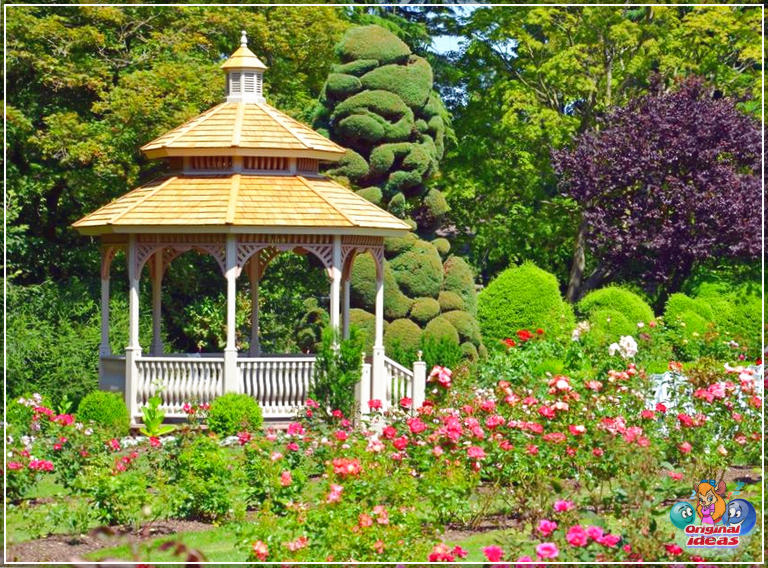 49 Gazebo Designs (Picture Gallery) (soffitto, spazio, gazebo, caratteristiche, disegni, foto, galleria, questo gazebo) 49 disegni di gazebo (galleria di immagini)