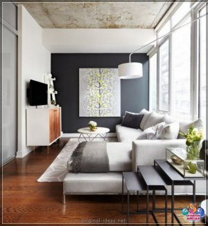 Вузкая гасціная: 125 фотаздымкаў і відэа кампетэнтнага занавання нестандартных гасціных