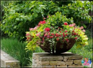 Як упрыгожыць двор сваімі рукамі? Агляд арыгінальных ідэй і камбінацый для распрацоўкі двара (110 фо...