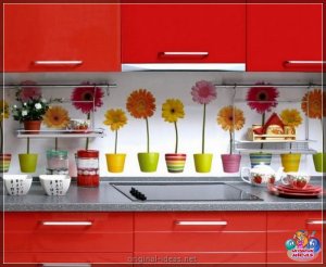 Фартух для кухні: 135 фотаздымкаў ідэй дызайну і парады па выкарыстанні фінішных матэрыялаў