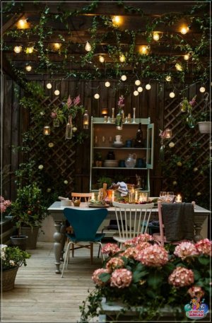 Дызайн двара прыватнага дома | Прыгожыя ідэі (+ 60 фота)