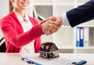 Агенцтва па нерухомасці франшызы